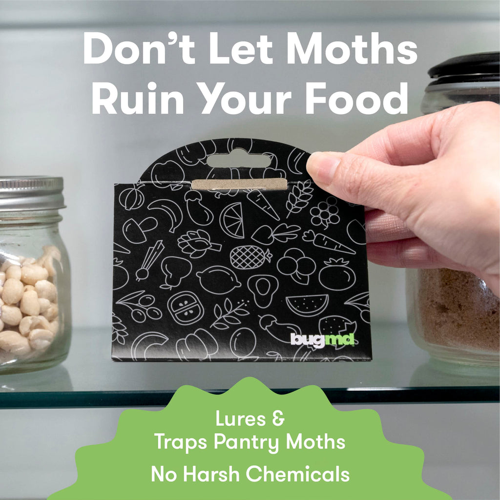 Bugmd Pantry Pest Patrol (6 Count, Black) - Moth Traps For Kitchen, Pantry Moth Trap, Bug Trap, Moth Traps For House Pantry, Get