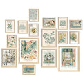 ANERZA 16 PCS Sage Green Wall Art Decor, Matisse Wall Prints for Bedroom, Abstract Posters for Room Aesthetic, Wall Collage Kit 