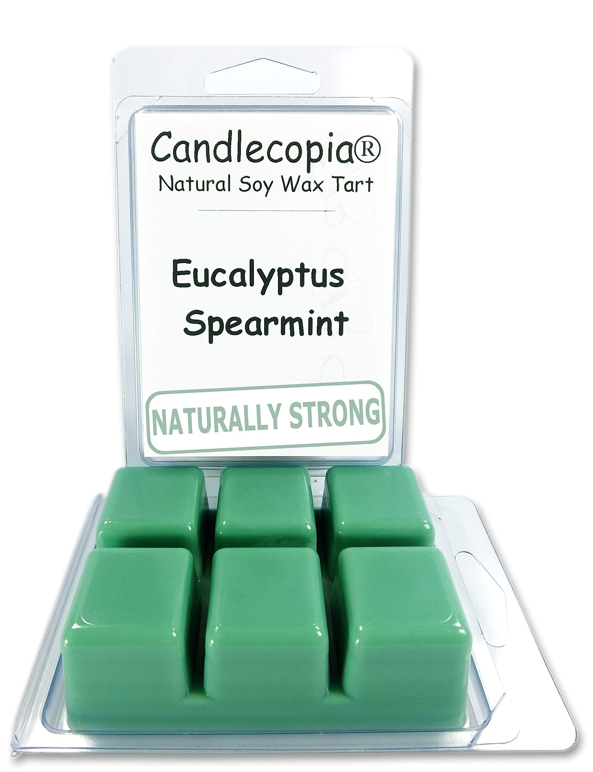 Candlecopia Eucalyptus Spearmint Strongly Scented Hand Poured Vegan Wax Melts, 12 Scented Wax Cubes, 6.4 Ounces in 2 x 6-Packs