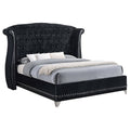 Coaster Home Furnishings Barzini Modern Classic Velvet Upholstered Queen Size Wingback Bed Frame Platform Bed 63-inch Headboard Black 300643Q