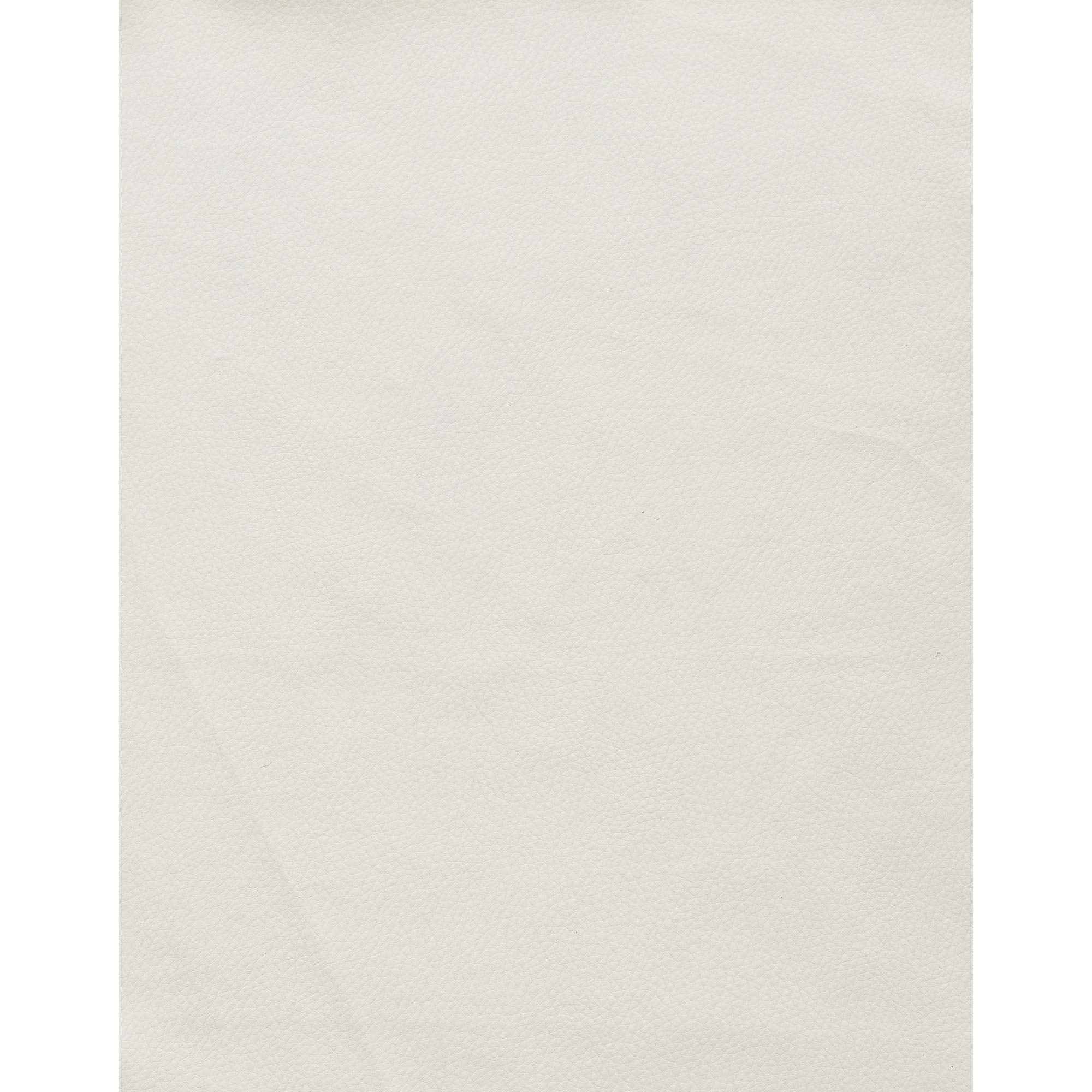 HomeRoots Set of 2 Modern White Dining Chairs with Horse Shoe Style Metal Base