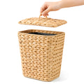 deepredcoast 3 Gallon Wicker Trash Can with Lid