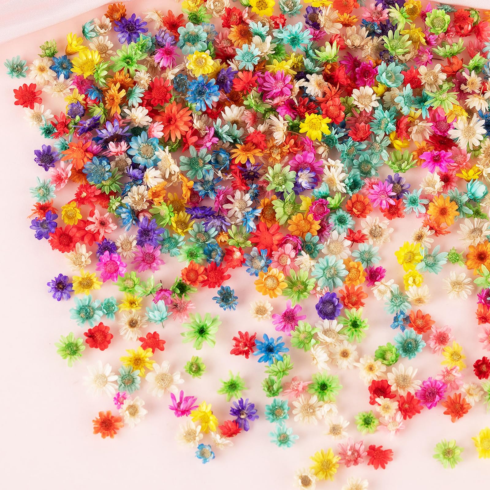 1150 Pcs Small Dried Flowers For Crafts - Mini Dried Flowers For Resin, Tiny Natural Real Dried Pressed Flowers Bulk For Diy Jew