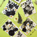 Mikiya 90Pcs Black Pressed Dried Flowers For Resin Molds, Real Natural Bulk Dry Floral Leave For Diy Art Crafts, Epoxy Jewelry,