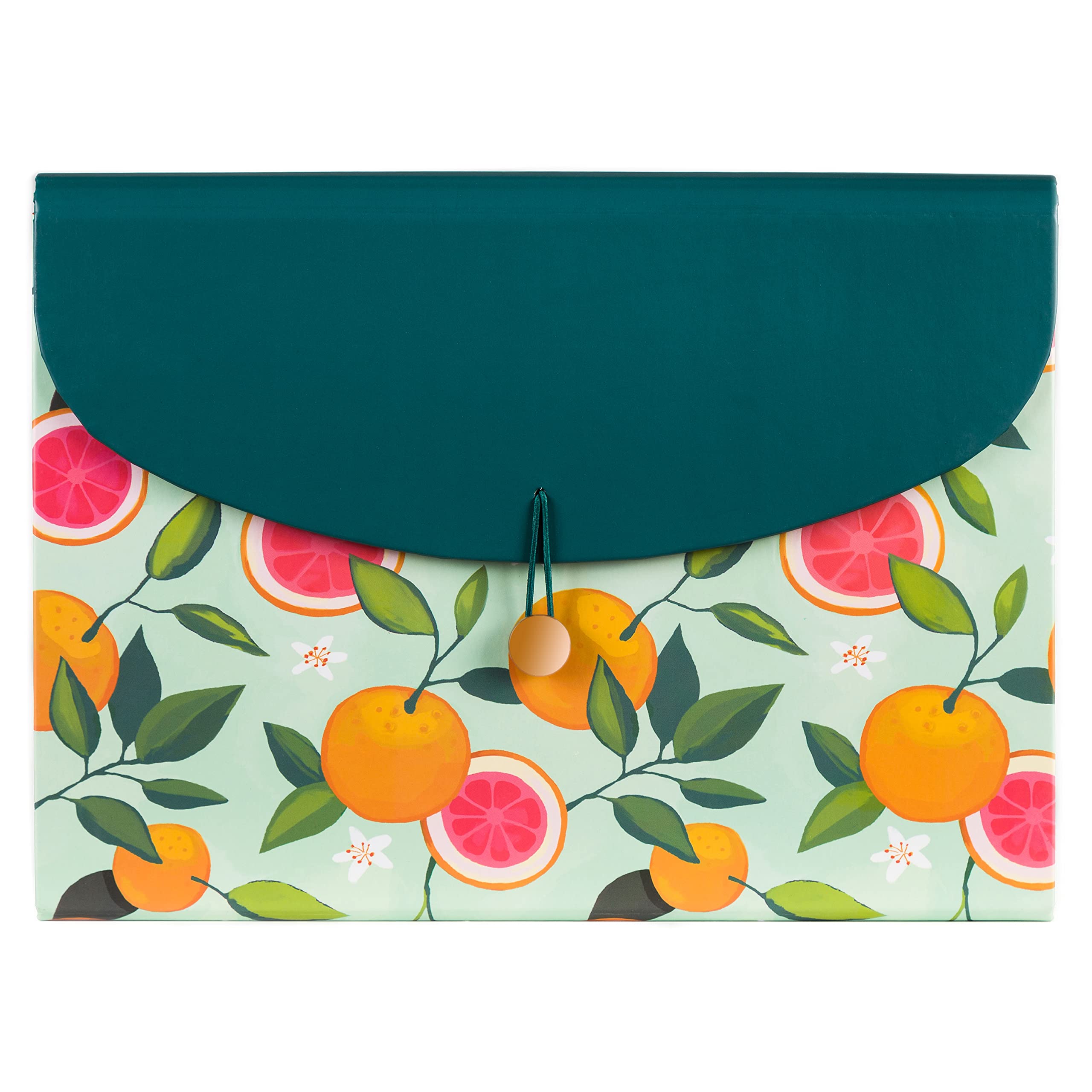 U Brands 13-Pocket Expanding File Folder, Office Supplies, Citrus Squeeze, Brass Hardware, Fsc Certified