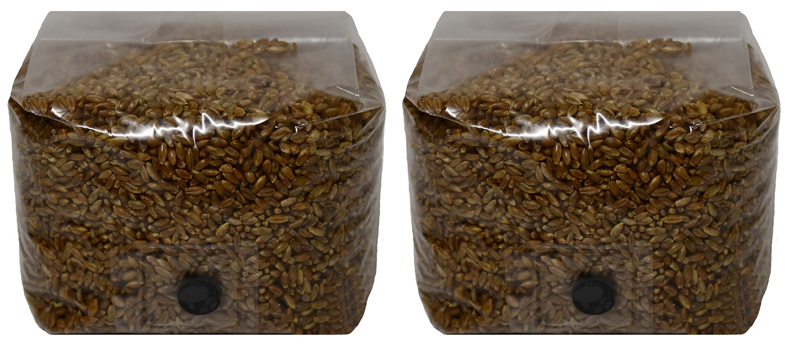 Rye Berry Mushroom Substrate Grow Bags With Self Healing Injection Port (3Lbs Bag) (2)