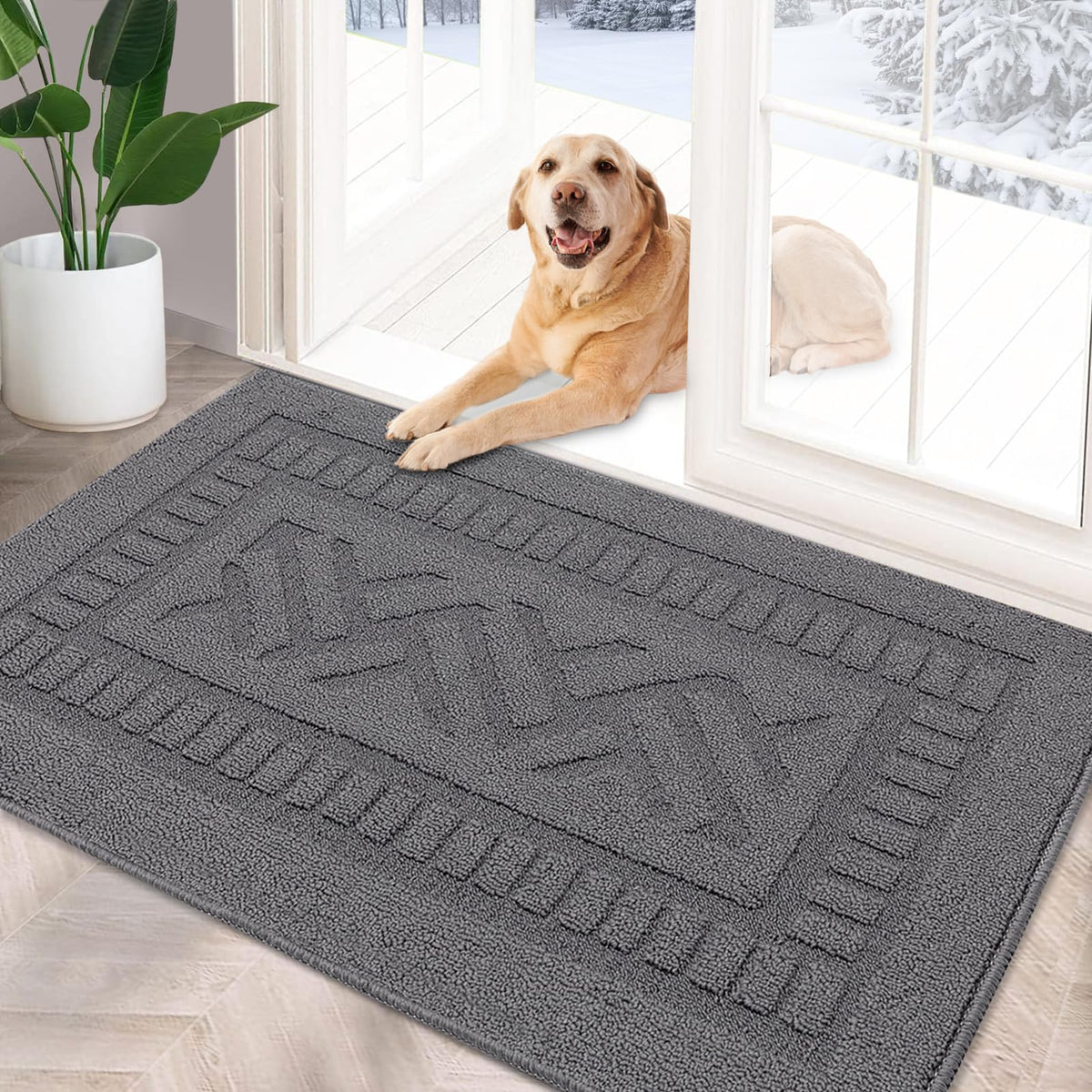 Foneyi Indoor Doormat, Front Back Door Mat Rubber Backing Non Slip Door Mats, 24 'X36 ' Low-Profile Absorbent Resist Dirt Entr