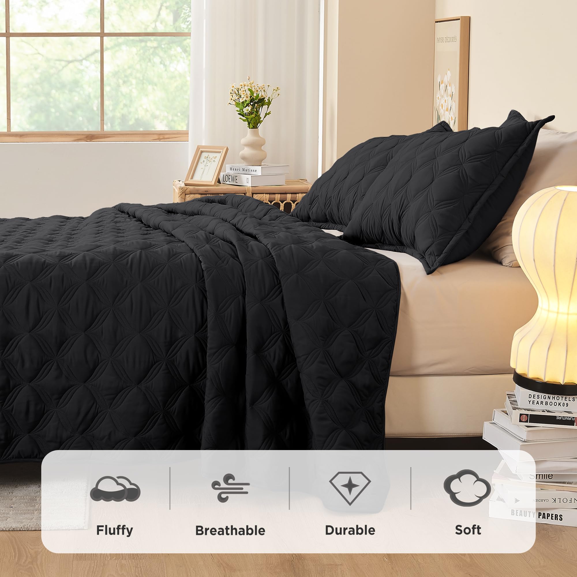 Litanika Queen Quilt Bedding Set, Black Summer Lightweight Soft Comforter Bedspreads & Coverlets, Boho Farmhouse Bedding Cover B