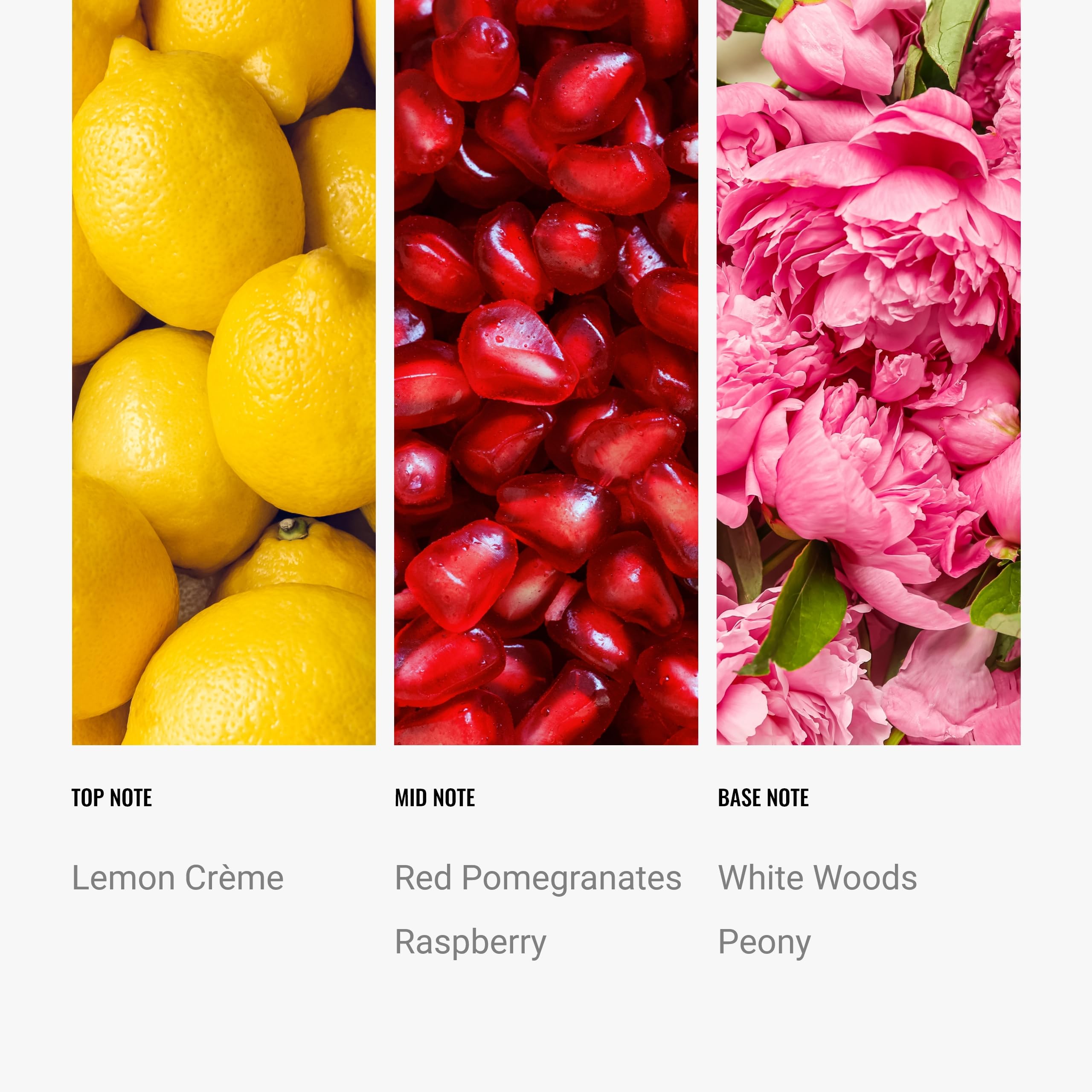 Hotel Collection Fragrance Oil - Fragrance Oil Inspired By The Aria Hotel In Last Vegas - Scent Includes Lemon Crme, Red Pomegra