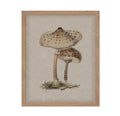 Poster Master Vintage Mushroom Poster - Retro Parasol Mushroom Print - Botanical Art - Housewarming Gift for Him, Her, Men, Wome