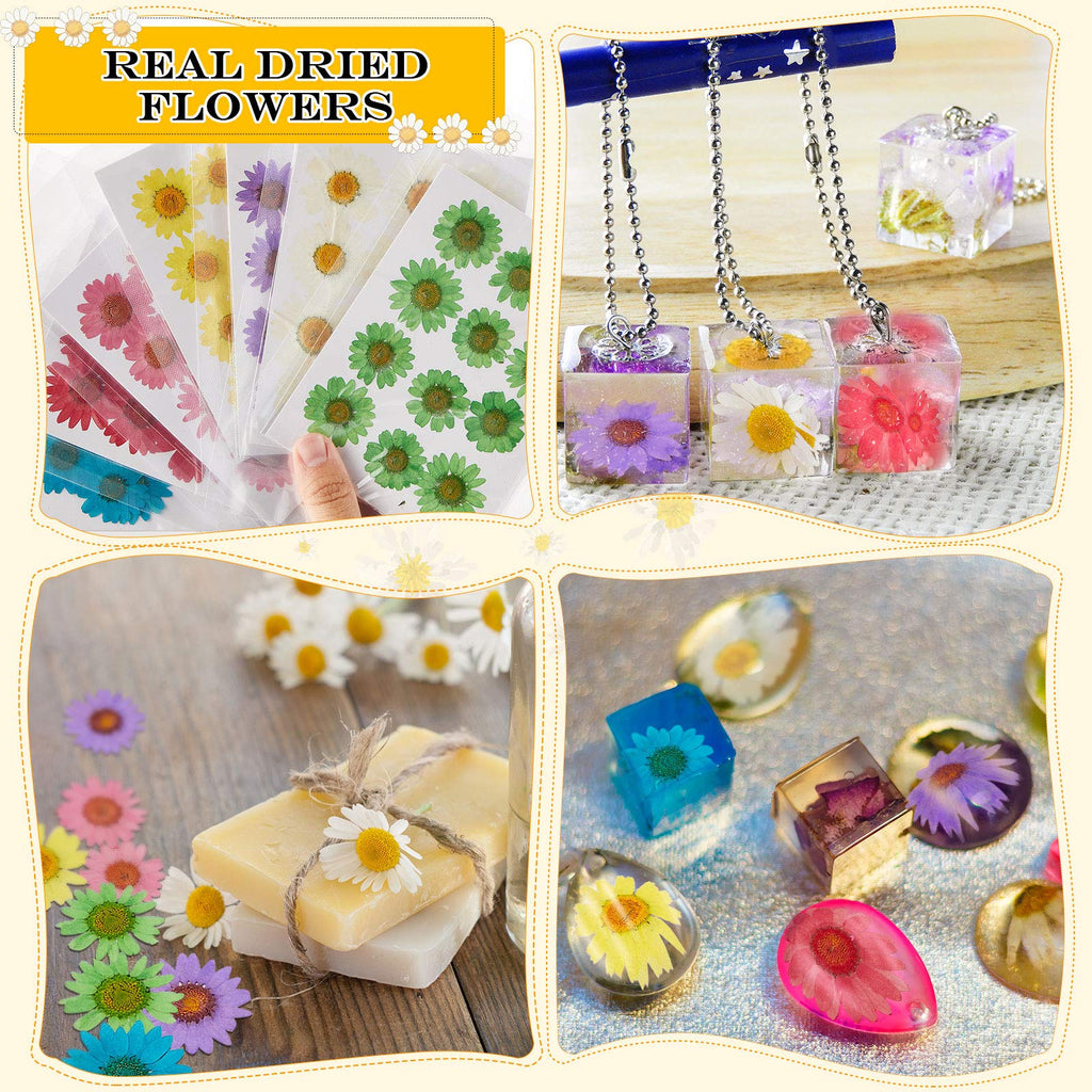 Nuanchu 84 Pcs Dried Pressed Flowers Real Pressed Dried Flowers Dried Daisy Flowers Multiple Colorful Resin Dried Flowers For Cr