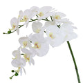 Htmeing 38 Inch Artificial Phalaenopsis Flowers Branches Real Touch (Not Silk) Orchids Flowers for Home Office Wedding Decoratio