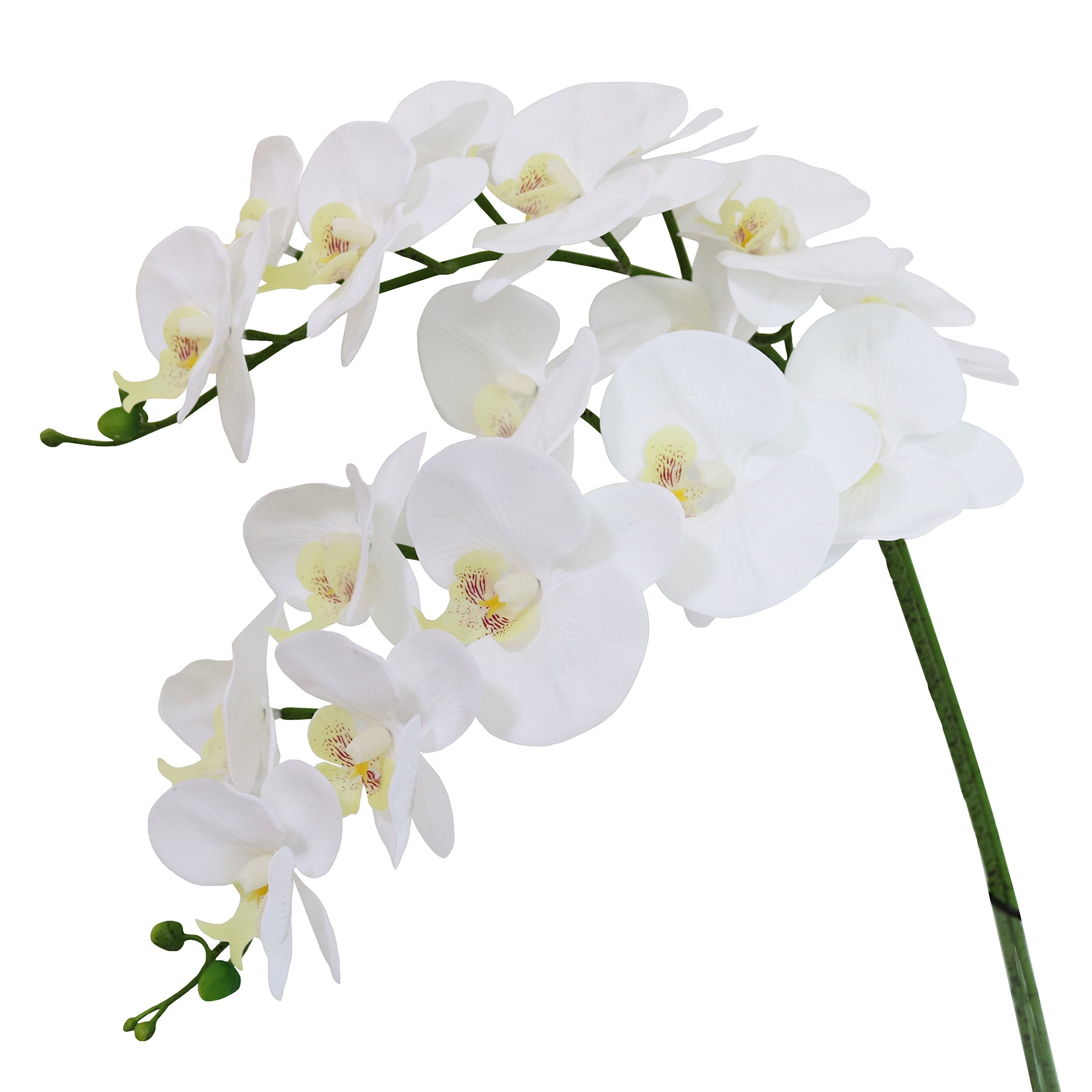 Htmeing 38 Inch Artificial Phalaenopsis Flowers Branches Real Touch (Not Silk) Orchids Flowers for Home Office Wedding Decoratio