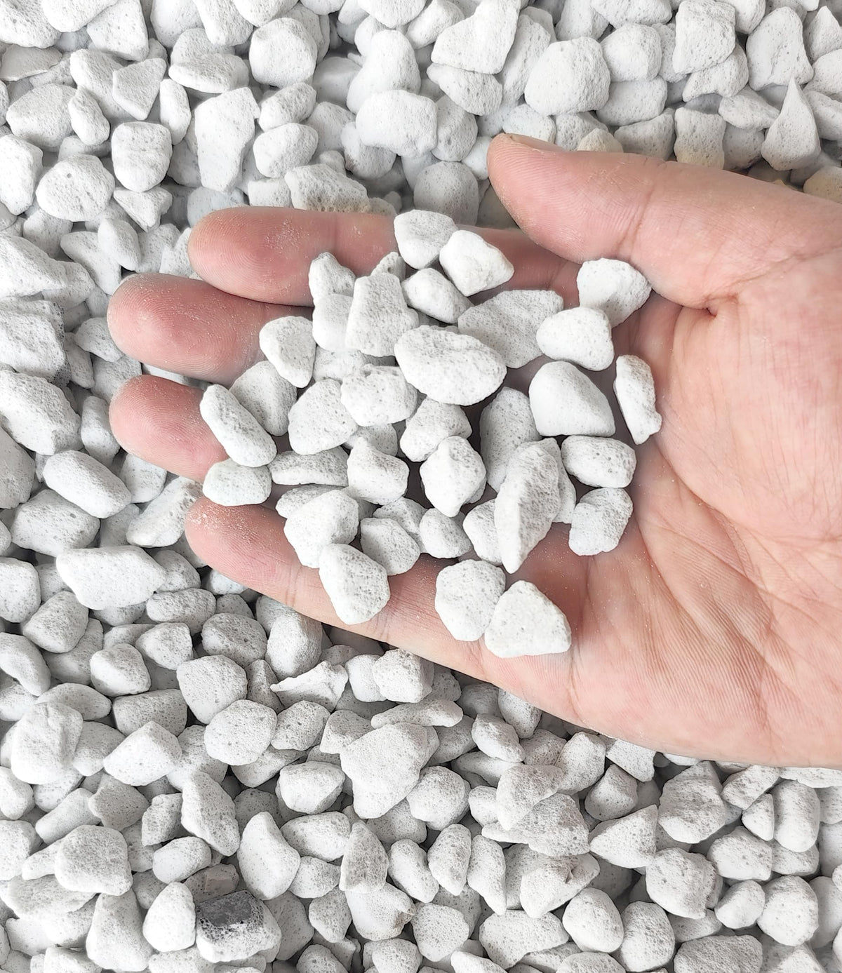 5 Qt Professional Grade Horticultural Organic Perlite (5 Qt, Large Size - Perlite)