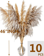 46'' Inch 10 Stems Natural Pampas Grass Decor Tall, Pompas Grass, Tall Pampas Grass For Weddingm, Farmhouse, Boho Home Decor (Br