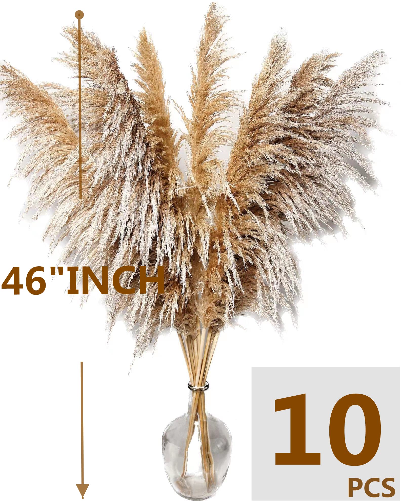 46'' Inch 10 Stems Natural Pampas Grass Decor Tall, Pompas Grass, Tall Pampas Grass For Weddingm, Farmhouse, Boho Home Decor (Br
