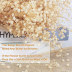 6000+ Dried-Babys-Breath-Flowers-Bouquet-17 Inch Ivory White Flowers, Natural Gypsophila Branches For Wedding, Diy Home Party De