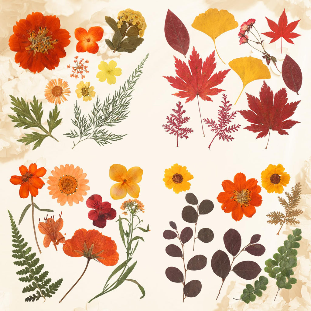 Augshy Fall Dried Pressed Flowers,100 Pcs Autumn Dried Flowers Leaves For Resin Molds Real Pressed Flowers For Crafts Diy Jewelr