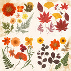 Augshy Fall Dried Pressed Flowers,100 Pcs Autumn Dried Flowers Leaves For Resin Molds Real Pressed Flowers For Crafts Diy Jewelr