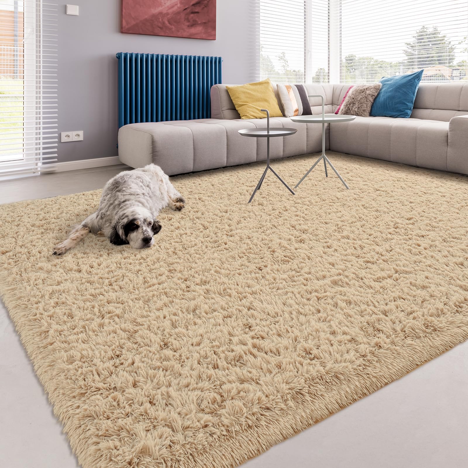 Softlife Rug For Living Room 5.3X7.6 Feet Area Rug For Bedroom Super Soft Shaggy Rugs For Kids Room Fluffy Fuzzy Carpets Long Pl