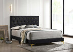 Coaster Home Furnishings Kendall 49-Inch Upholstered Bed Queen Size Modern Panel Bed Frame Velvet Upholstery Button Tufted with Gold Accents Black 224451Q