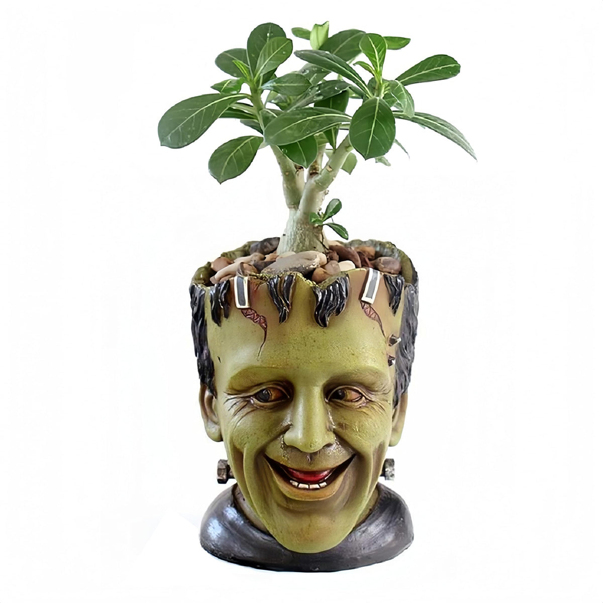 Funny Planter Youfui Head Planter With Drainage Hole Resin Plant Pot Pencil Holder Desk Storage (Frankstein)
