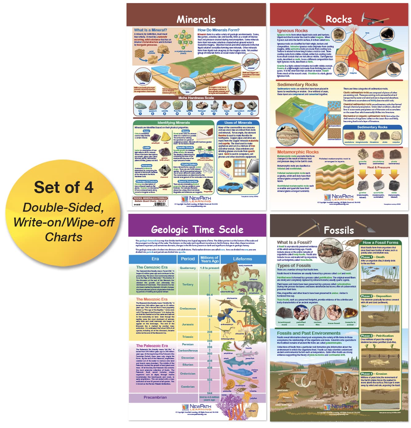 Newpath Learning Rocks, Minerals & Fossils Bulletin Board Charts, Set/4 - Laminated, Double-Sided, Full-Color, 12' X 18' (94-8