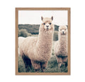 Poster Master Vintage Photograph Poster - Retro Nature Print - Gift for Artist, Friend - Alpaca, Farmhouse, Animal Lover, Boho -