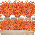 Artificial Fall Flowers for Outdoors, 20 Bundles Faux Plants No Fade Plastic Shrubs Autumn Decor Farmhouse Home Garden Thanksgiv