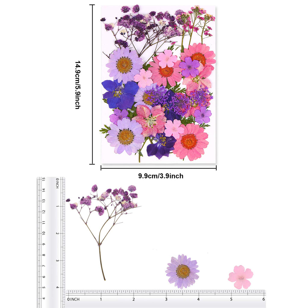 Augshy Dried Pressed Flowers For Resin, Natural Purple Dried Pressed Flowers For Crafts Diy Jewelry Molds, Art Scrapbooking, Can