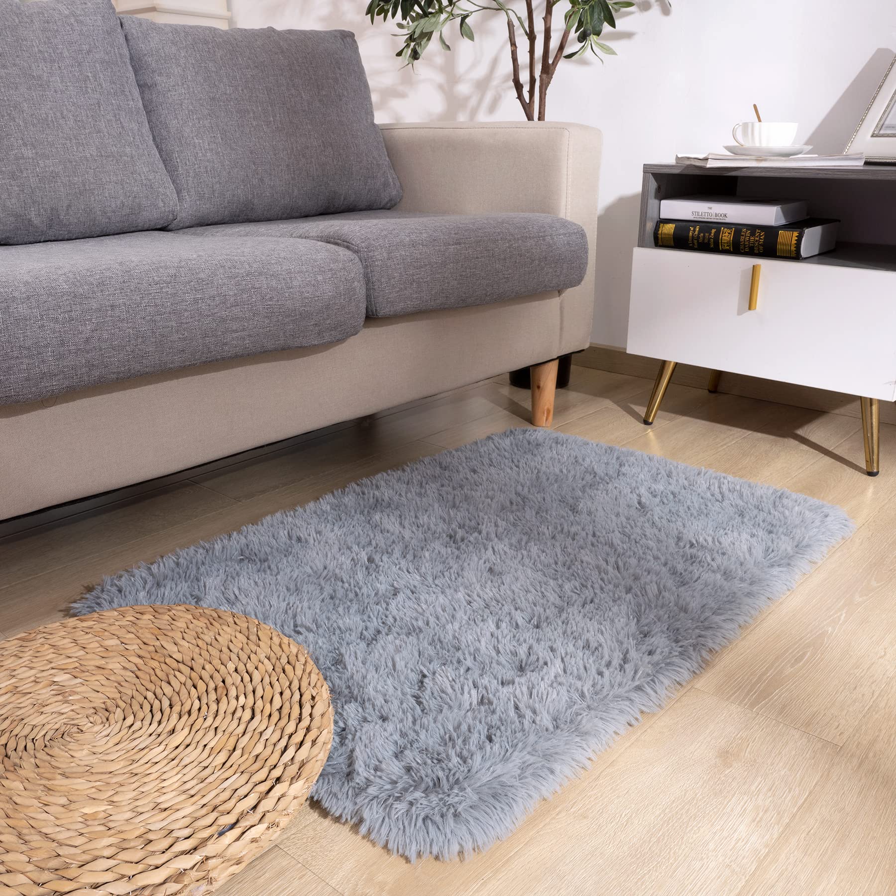 DETUM Grey Rug Small Rug 2X3 Fluffy Rugs for Bedroom Kicthen Entryway Hallyway Washable Gray Area Rug Super Soft Throw Rug Room 