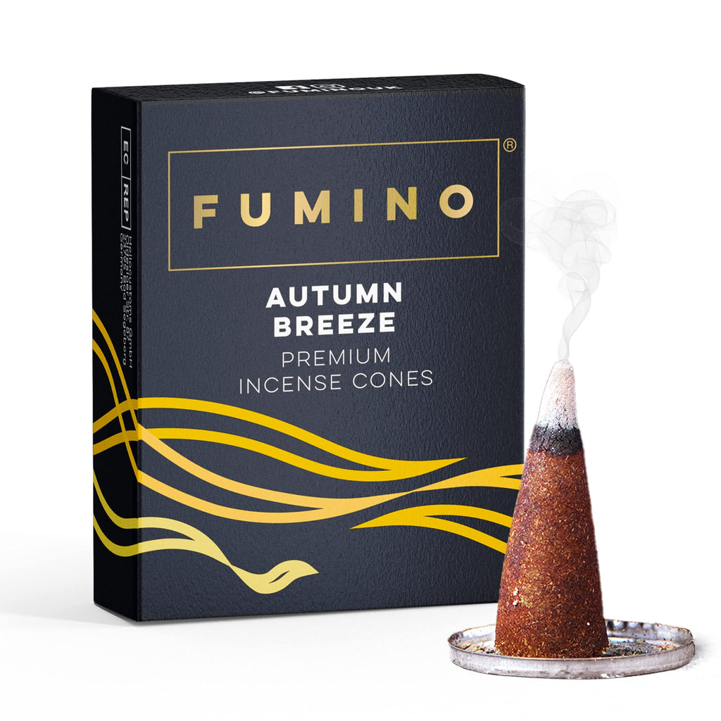 Fumino Autumn Breeze Fresh Incense Cones 20 per Box Masala Agarbatti Joss Scent Fragrance for Relaxation and Meditation, Home an