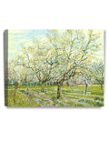 DECORARTS - The White Orchard, Vincent Van Gogh Art Reproduction. Giclee Canvas Prints Wall Art for Home Decor 20x16, Depth 1.5