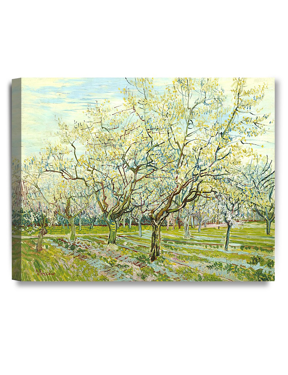 DECORARTS - The White Orchard, Vincent Van Gogh Art Reproduction. Giclee Canvas Prints Wall Art for Home Decor 20x16, Depth 1.5
