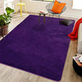 Softlife Washable Bedroom Rug, 4x6 Purple Area Rugs for Living Room, Soft Fluffy Fuzzy Carpet Bedside Rug Indoor Non-Slip Rug fo