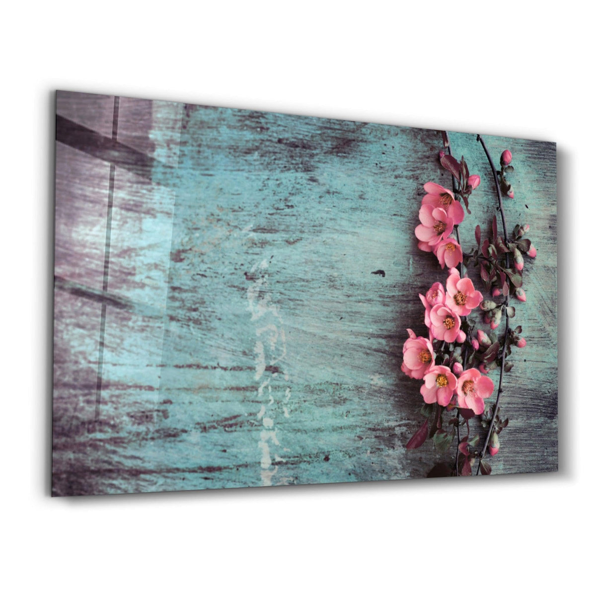 DesignSkinz Designers Collection Glass Wall Art for Living Room, Bedroom, Office, Study, Shelf (22x14inch)  Pastel