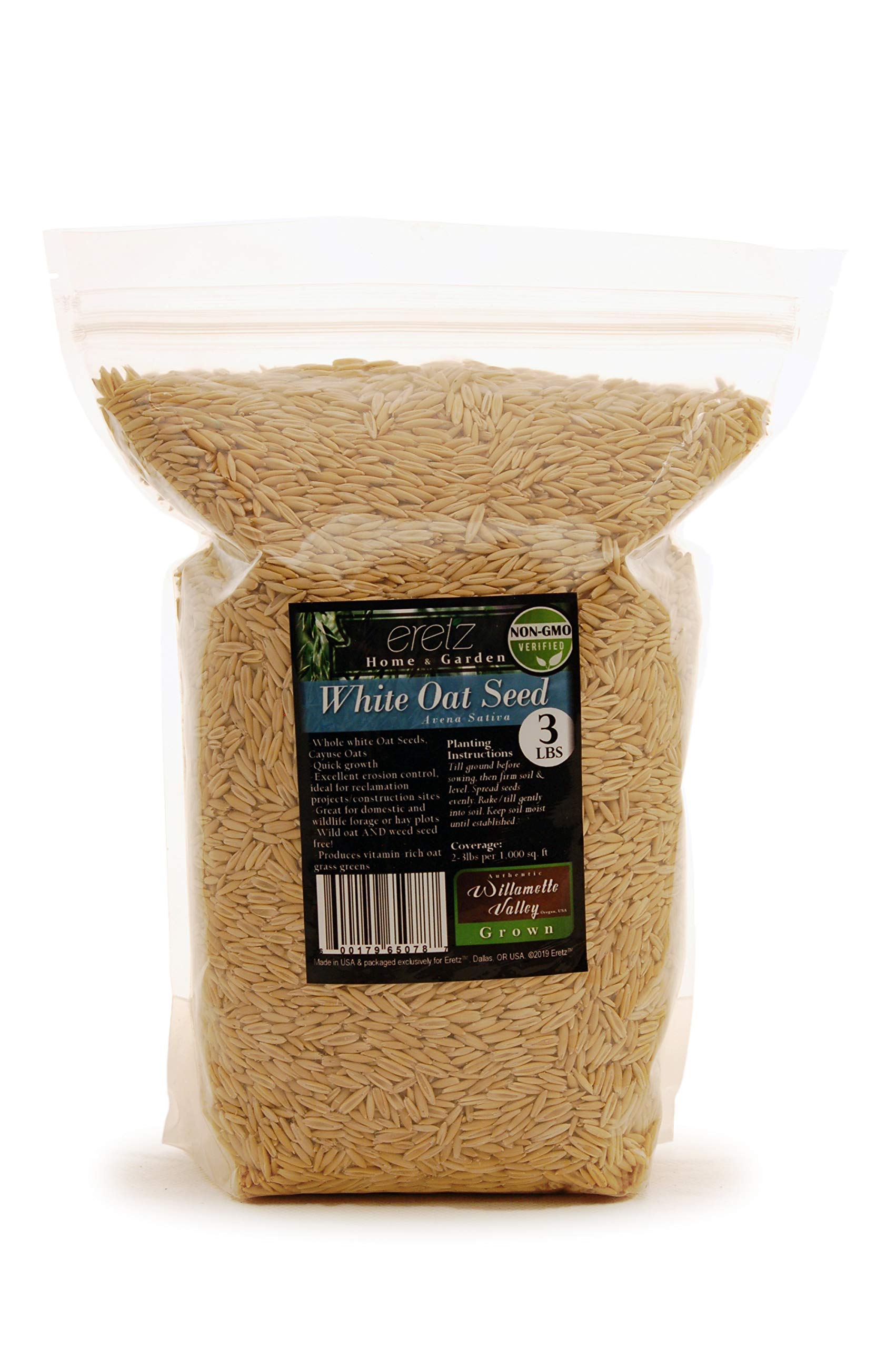 White Oat Seed By Eretz - Choose Size! Oregon Grown, State Certified Oat Grains- No Fillers, No Coatings, No Weed Seeds (3Lb)