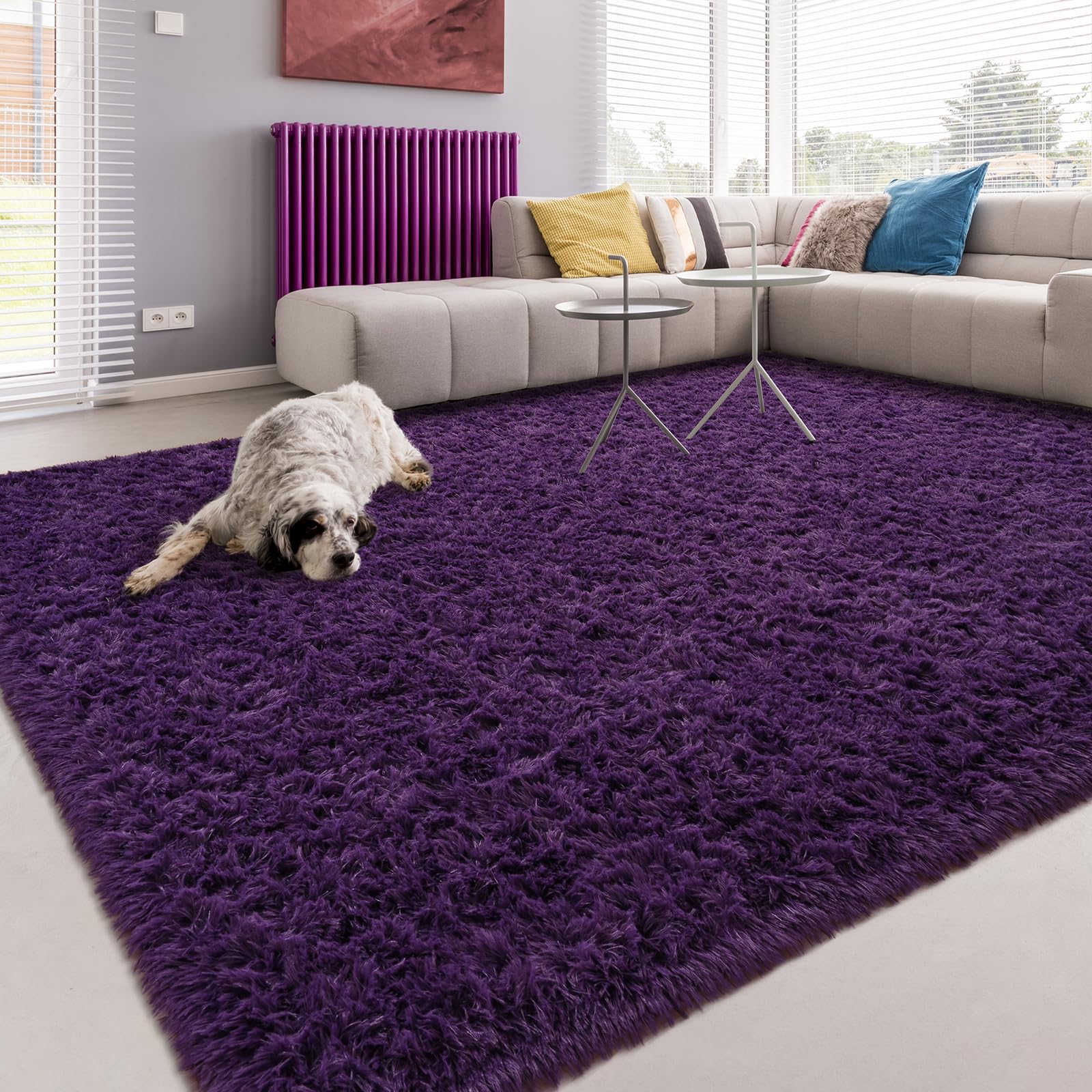 Softlife Rug for Bedroom 4x5.3 Feet Area Rug for Living Room Super Soft Shaggy Rugs for Dorm Room Fluffy Fuzzy Carpets Long Plus