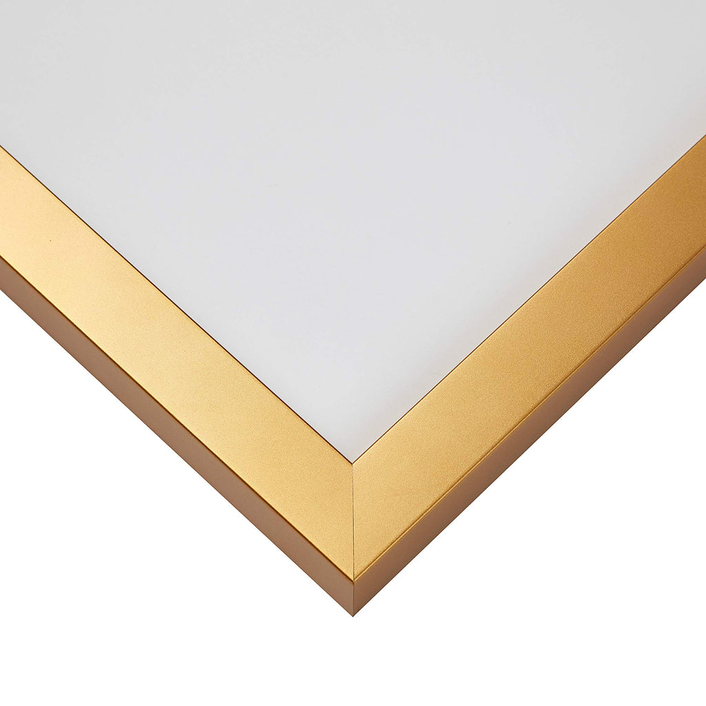 Craig Frames Confetti, Modern Gold Picture Frame, 20 X 27 Inch