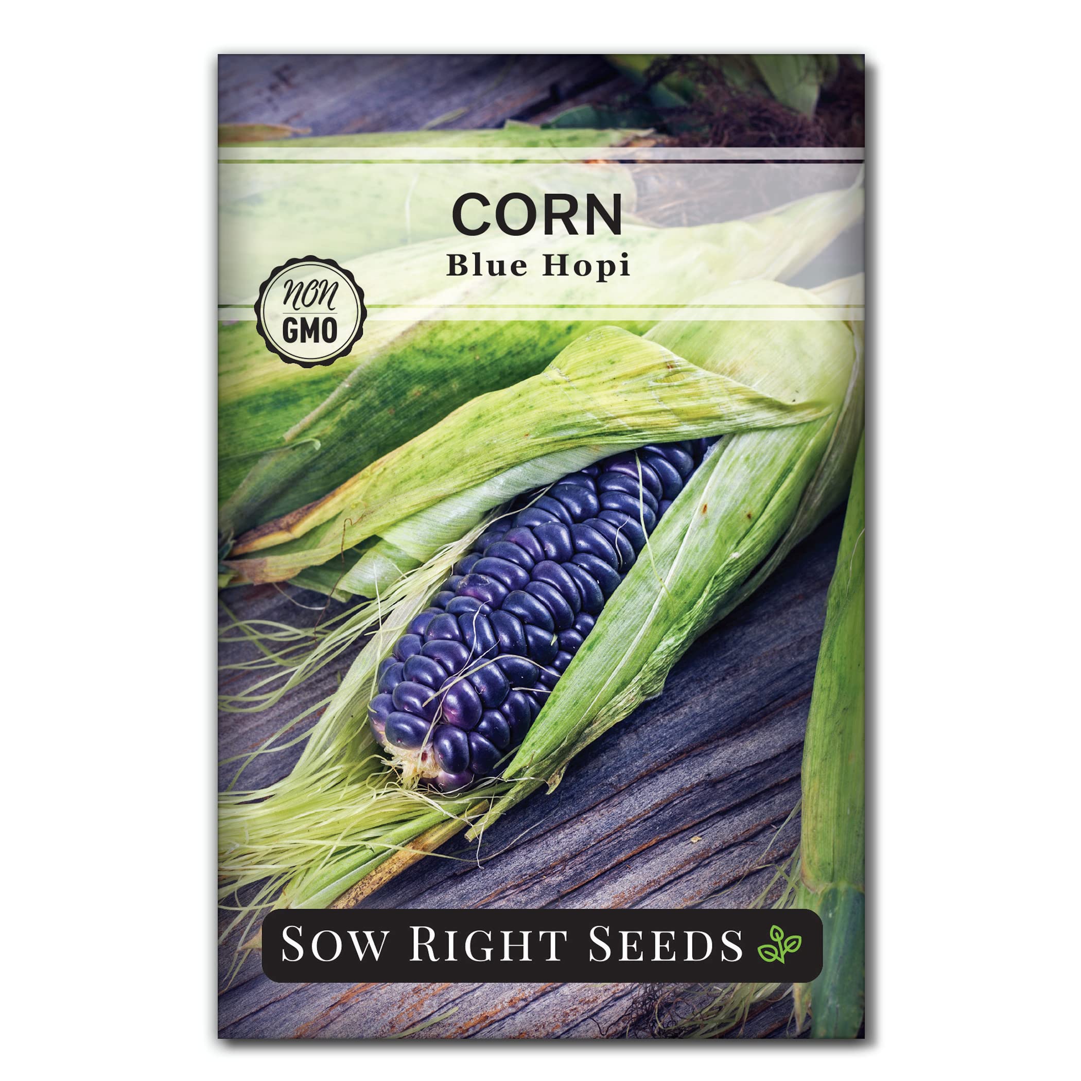 Sow Right Seeds - Blue Hopi Corn Seed For Planting - Non-Gmo Heirloom Packet With Instructions To Plant And Grow An Outdoor Home