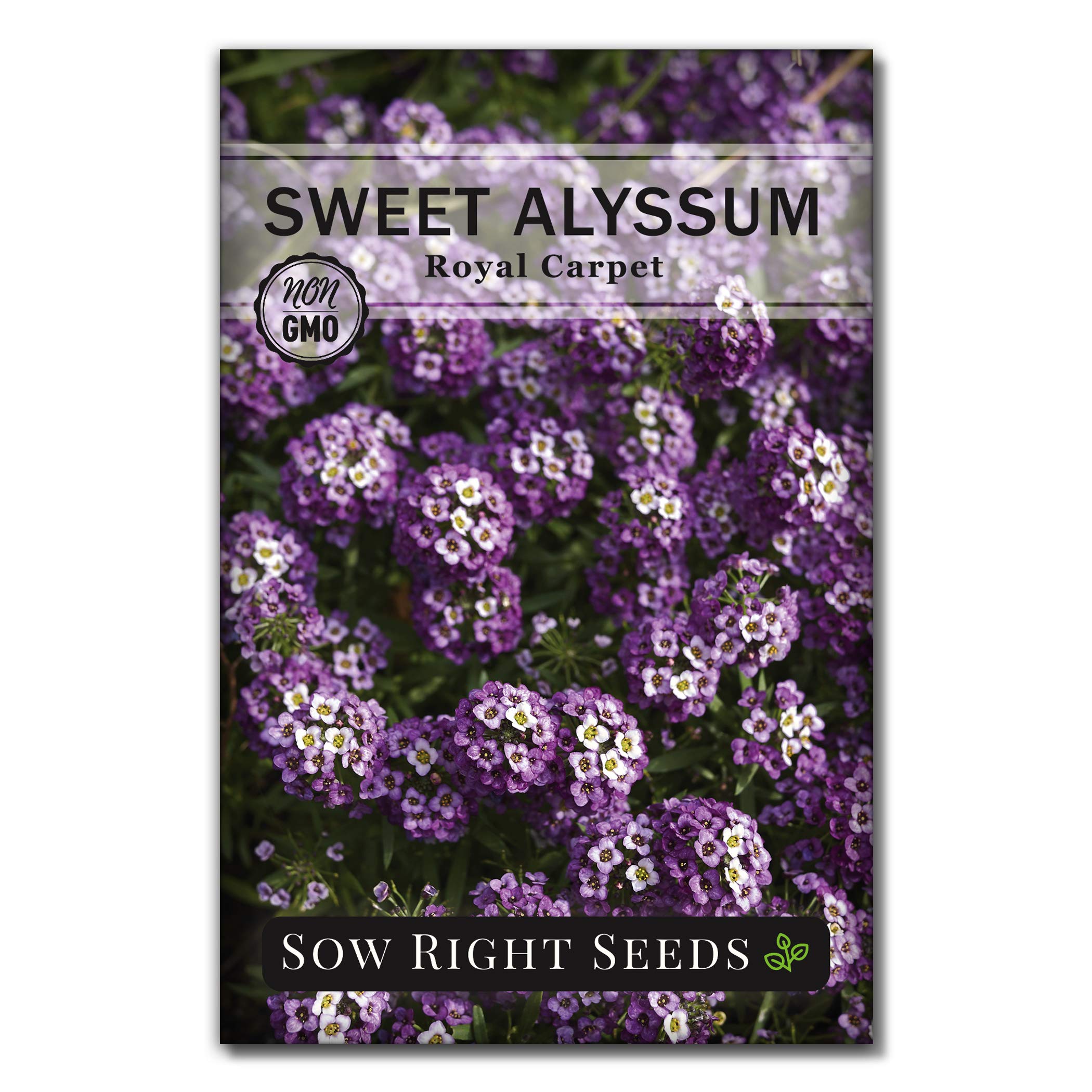 Sow Right Seeds - Sweet Alyssum Flower Seeds For Planting, Beautiful Flowers To Plant In Your Garden; Non-Gmo Heirloom Seeds; Wo