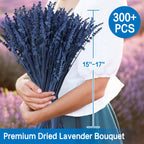 Dried Blue Lavender Flowers Bundle-Dried Preserved Lavender Bouquet 15''-17'' For Home Wedding Shower Vase D  Cor, Aromatherapy,