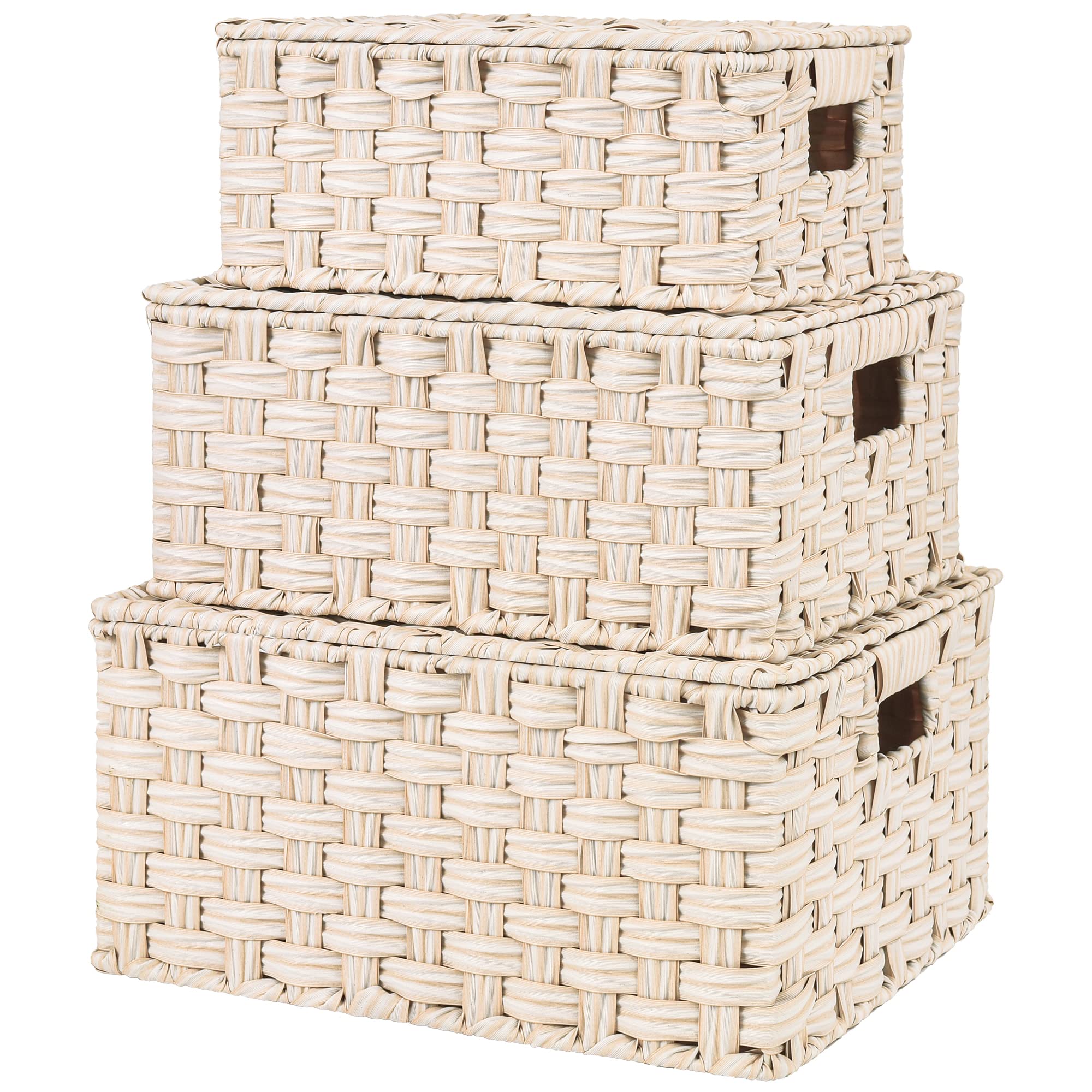 GRANNY SAYS Wicker Storage Baskets with Lids, Set of 3 Decorative Storage Boxes, Woven Baskets for Storage, Baskets for Organizi