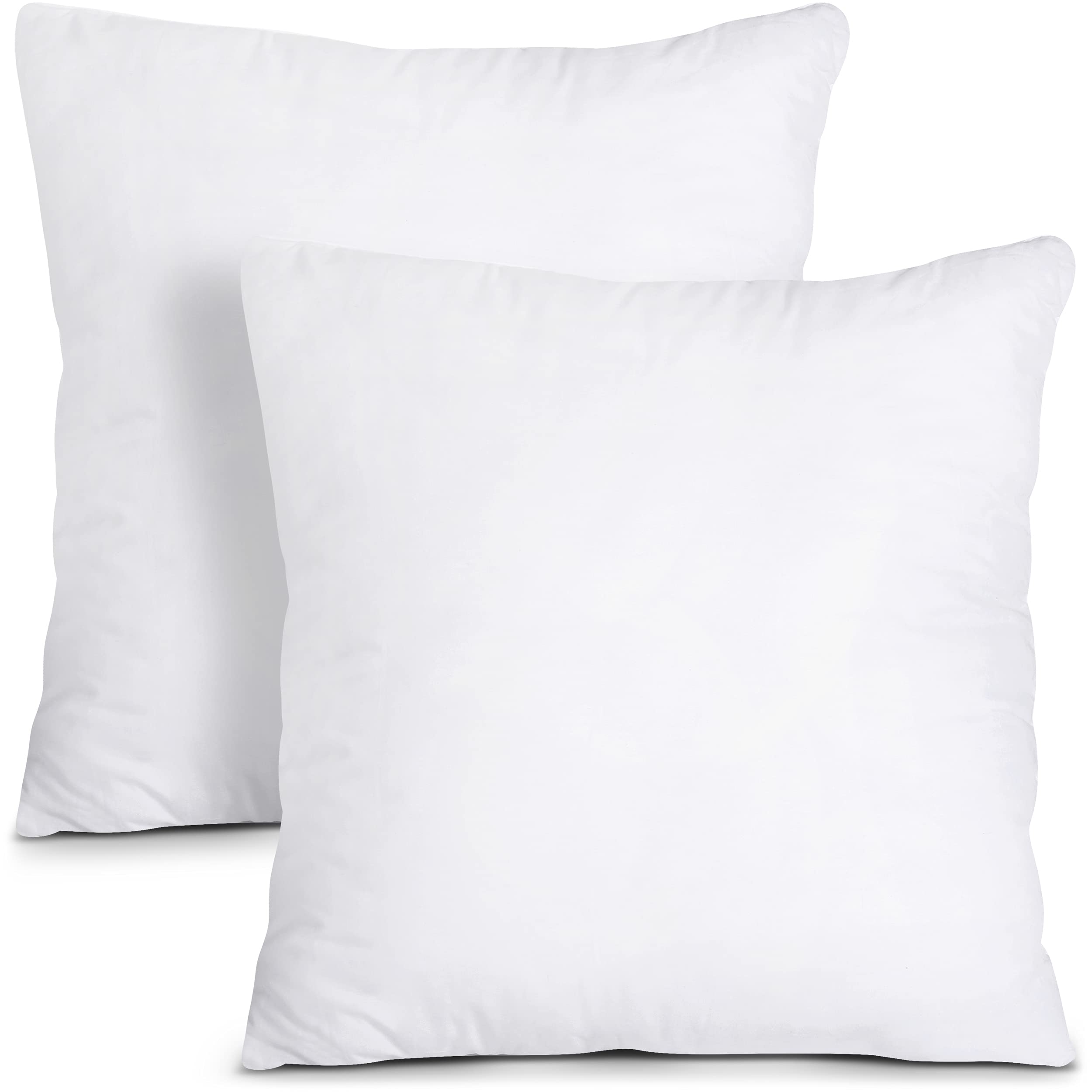Utopia Bedding Throw Pillows Insert (Pack Of 2, White) - 24 X 24 Inches Bed And Couch Pillows - Indoor Decorative Pillows