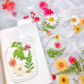 Transparent Dried Flower Bookmarks, Kaluofan 40Pcs Dried Flower Bookmark Kit, Handmade Dried Flower Bookmarks, Handmade Diy Tran