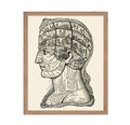 Poster Master A Symbolic Head Phrenology Print 1899 - Phrenology Poster, Fine Art Print of a Vintage Scientific or Pseudoscience