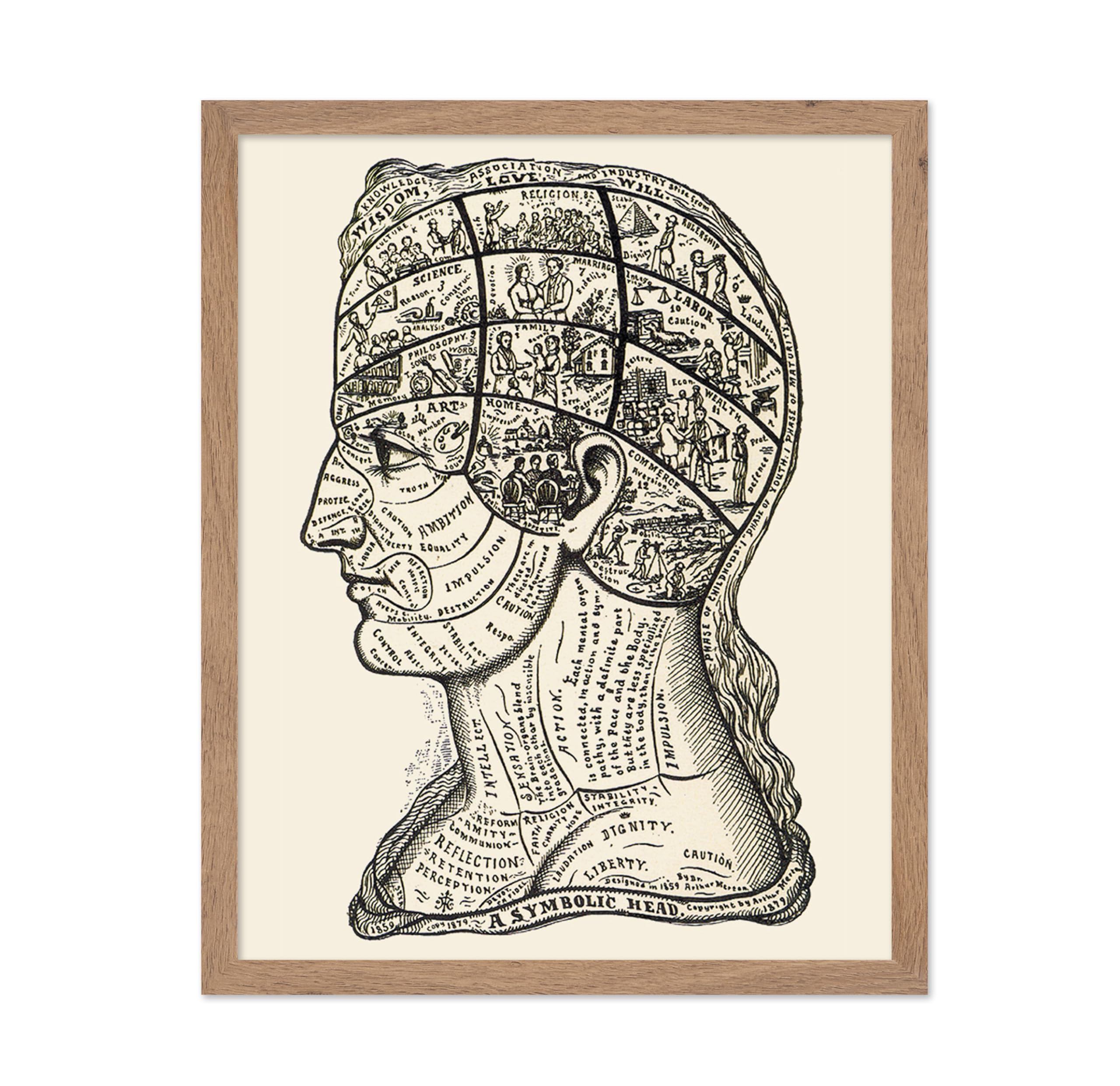 Poster Master A Symbolic Head Phrenology Print 1899 - Phrenology Poster, Fine Art Print of a Vintage Scientific or Pseudoscience