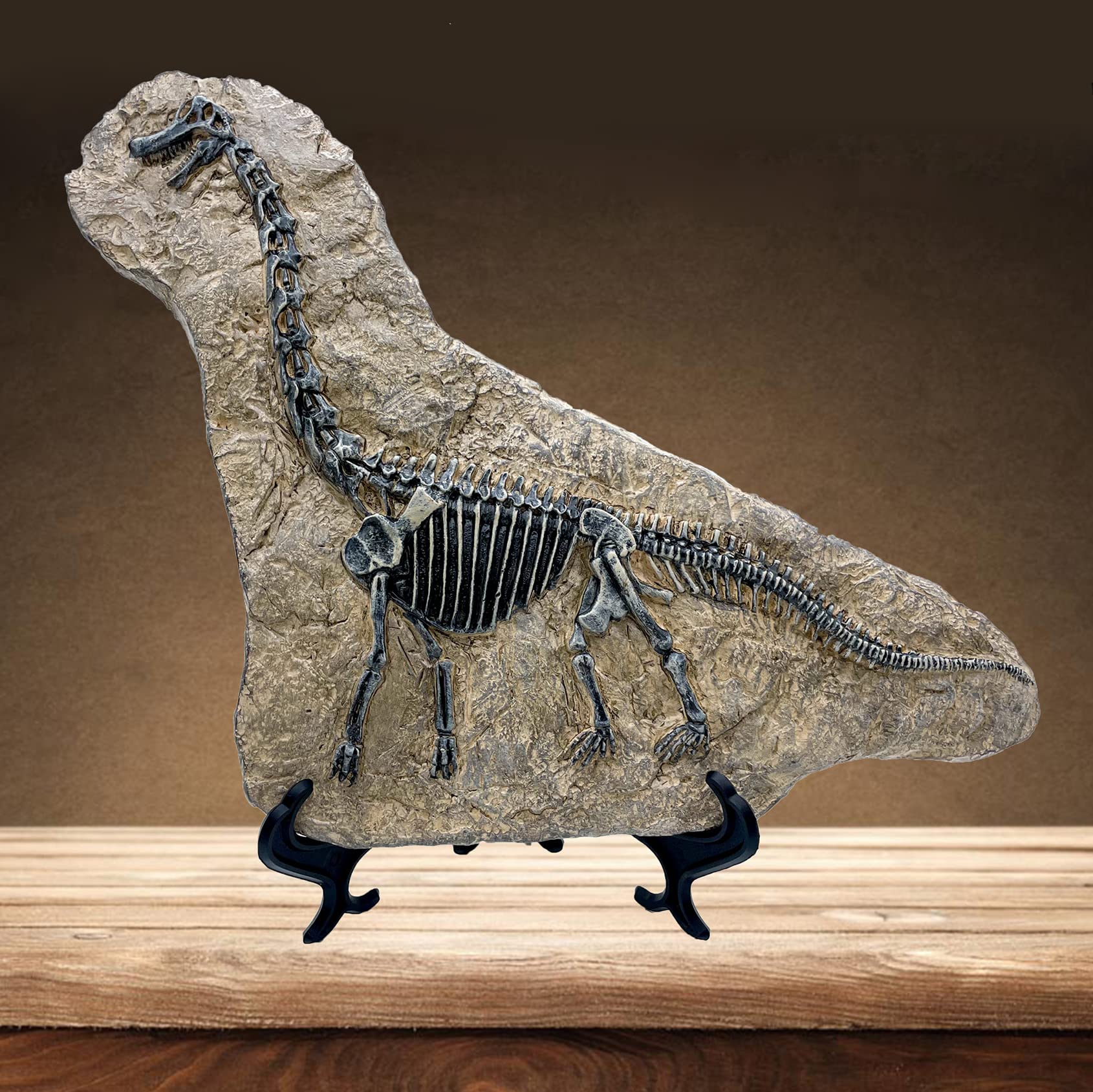 XINDAM Resin Brachiosaurus Dinosaur Fossil Statue Model Simulated Skeleton Home Office Display Decorative Craft Box Decoration (