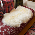 Aegis cover(TM Genuine Real Australian Single Pelt Large Sheepskin Rug(Real 2 ft+ x 3.5 ft)