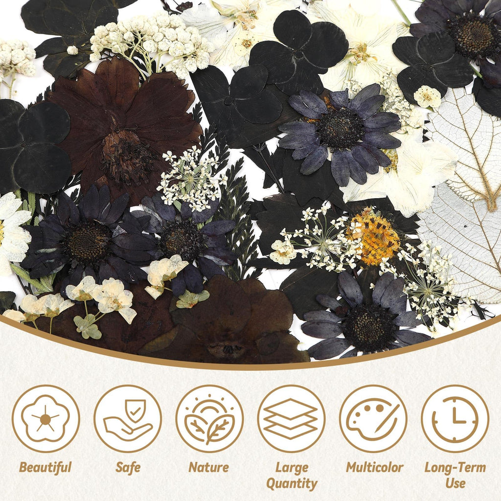 Augshy Black Dried Pressed Flowers, 120 Pcs Halloween Dried Flowers For Resin Molds Real Pressed Flowers For Crafts Diy Jewelry